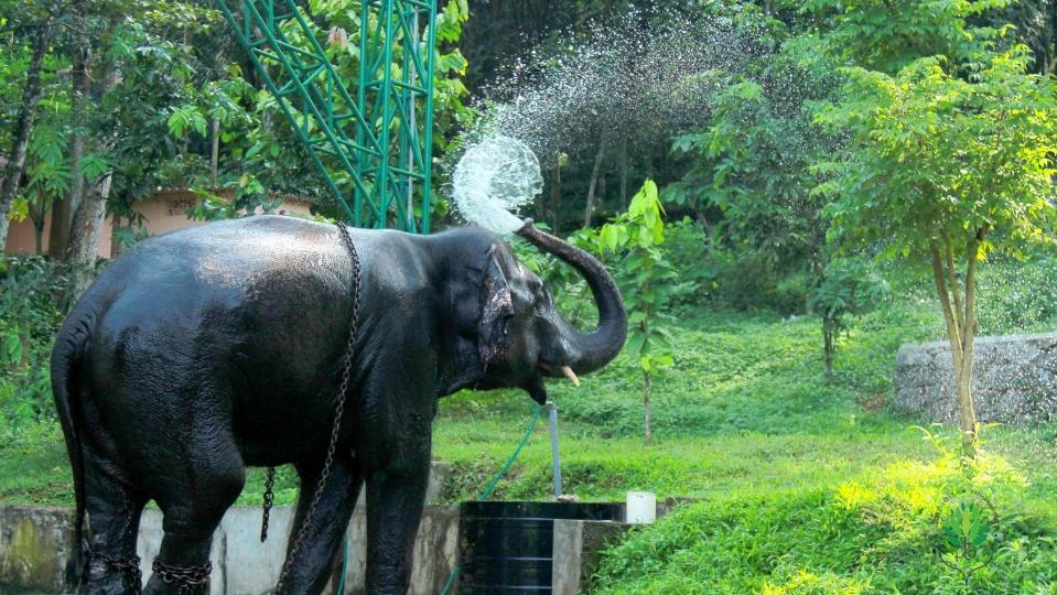 Swasthi Griha Villa Aranmula Екстериор снимка
